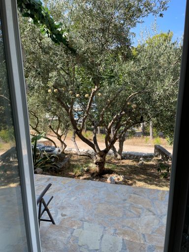 Blick aus dem Studio Blick auf einen Olivenbaum und eine steinerne Terrasse mit Stühlen.