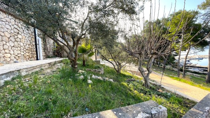 Garten Eine grüne Gartenlandschaft mit Olivenbäumen und einem gepflasterten Weg.