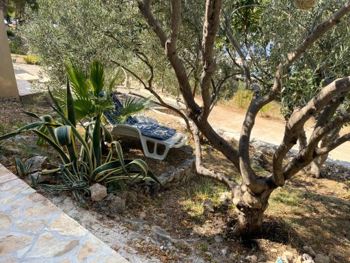 Mittagsschlaf unter dem Olivenbaum Schatten unter einem Olivenbaum mit einer Liege und Pflanzen im Hintergrund.